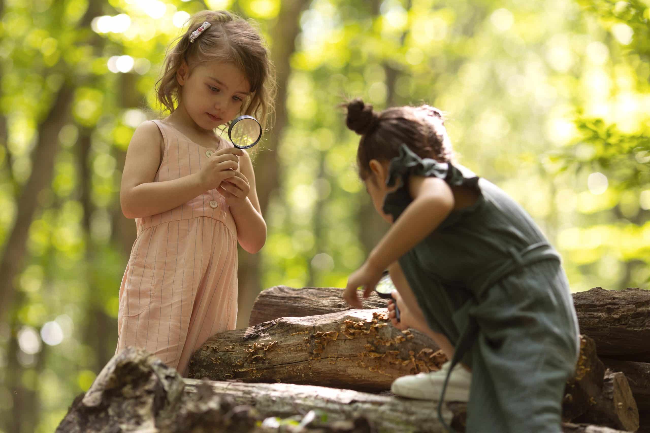 enfants jouant dans la nature